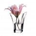 Vase 140 mm unpacked botanist (80147)